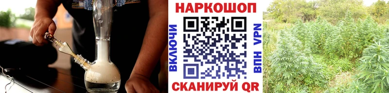 Купить наркоту Ставрополь Гашиш
