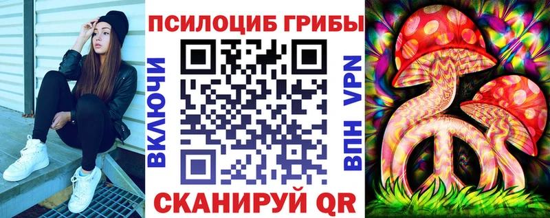 omg как войти  купить   Ставрополь  Псилоцибиновые грибы ЛСД 